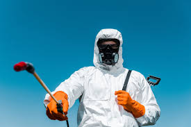 Best Termite Inspection and Treatment  in Hillsdale, NJ